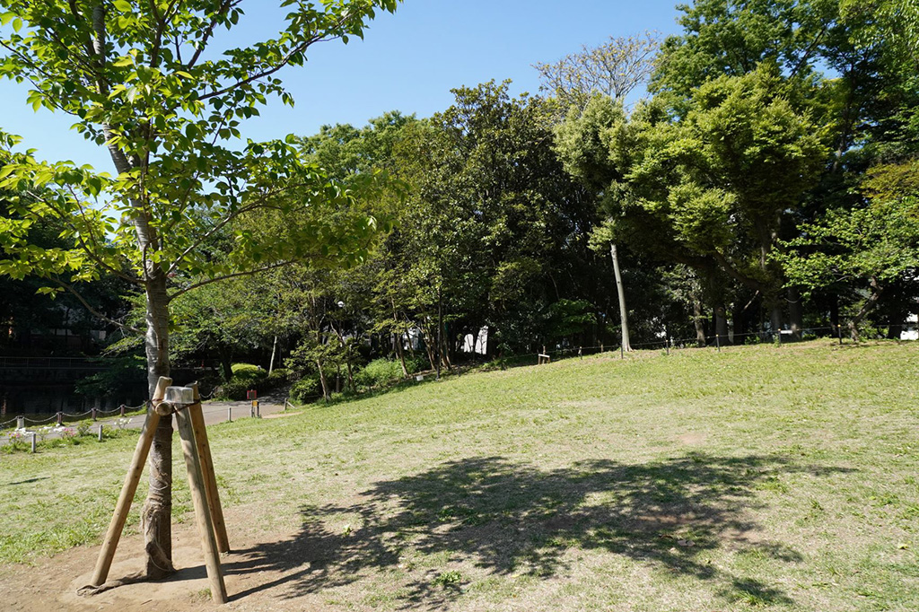 「いこいの広場」/蚕糸の森公園(東京都/杉並区)