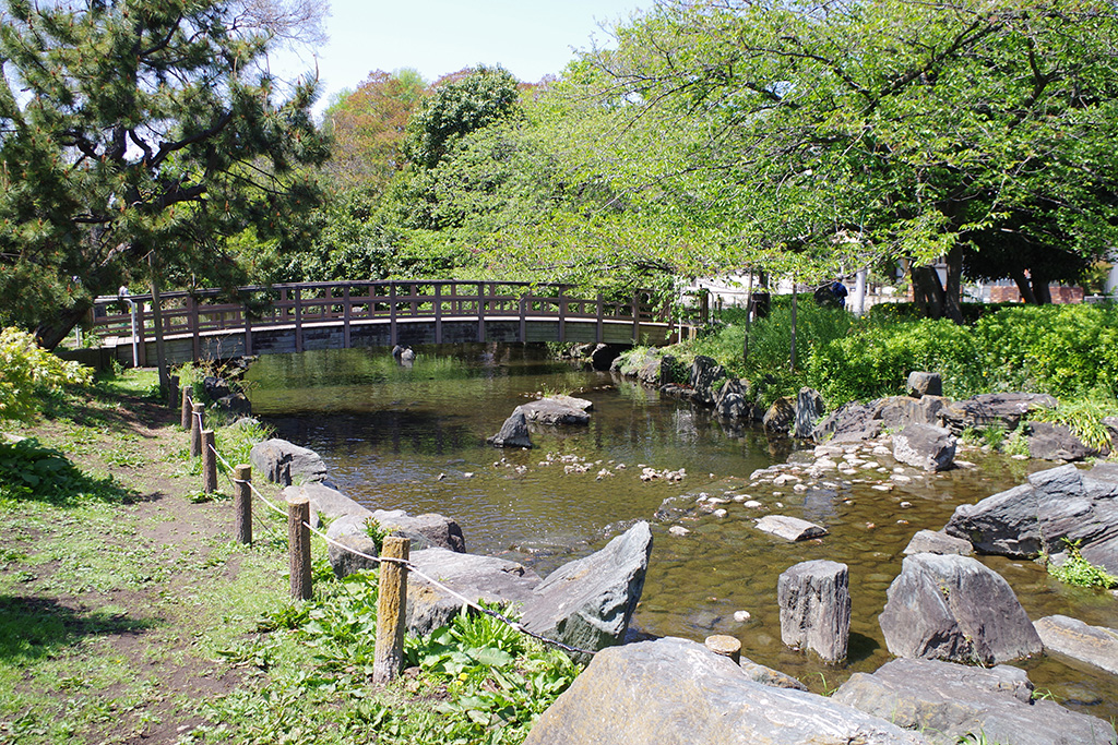 遊歩道沿いに続くせせらぎ/東綾瀬公園(東京都/足立区)