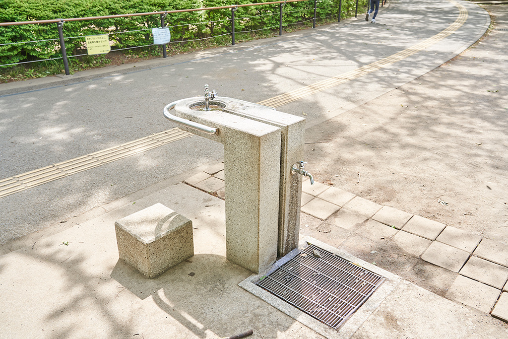 踏み台が付いた水飲み場/小平中央公園(東京都/小平市)