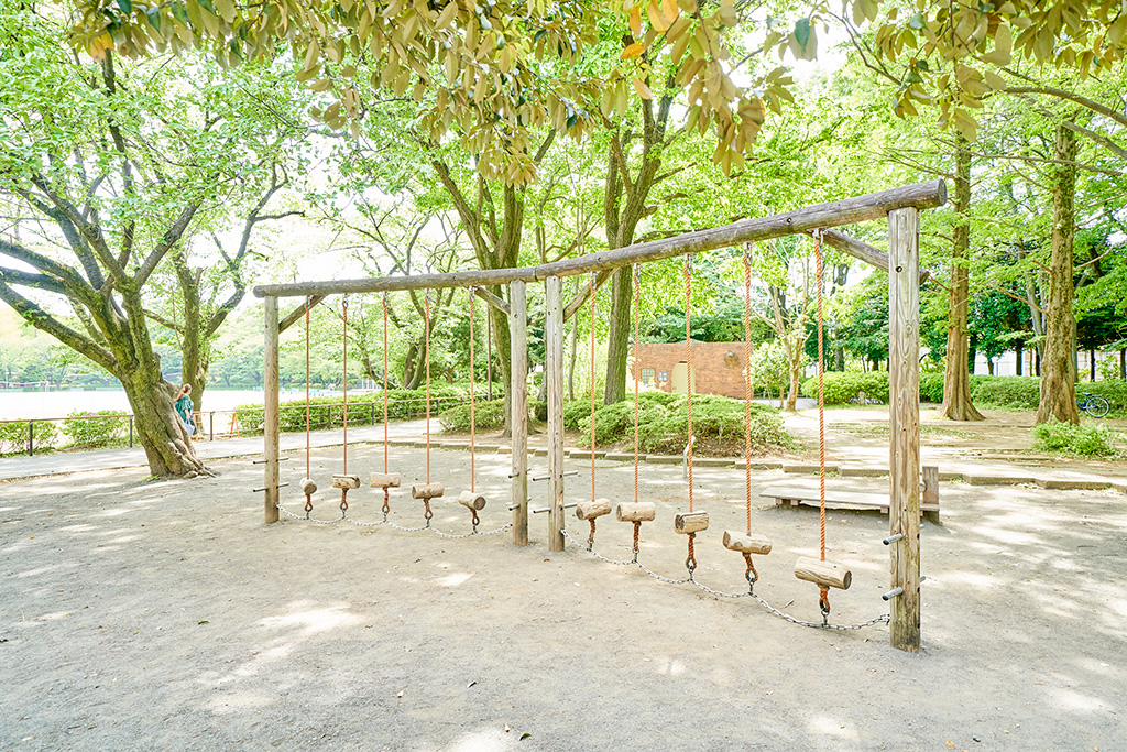 丸太渡り/小平中央公園(東京都/小平市)