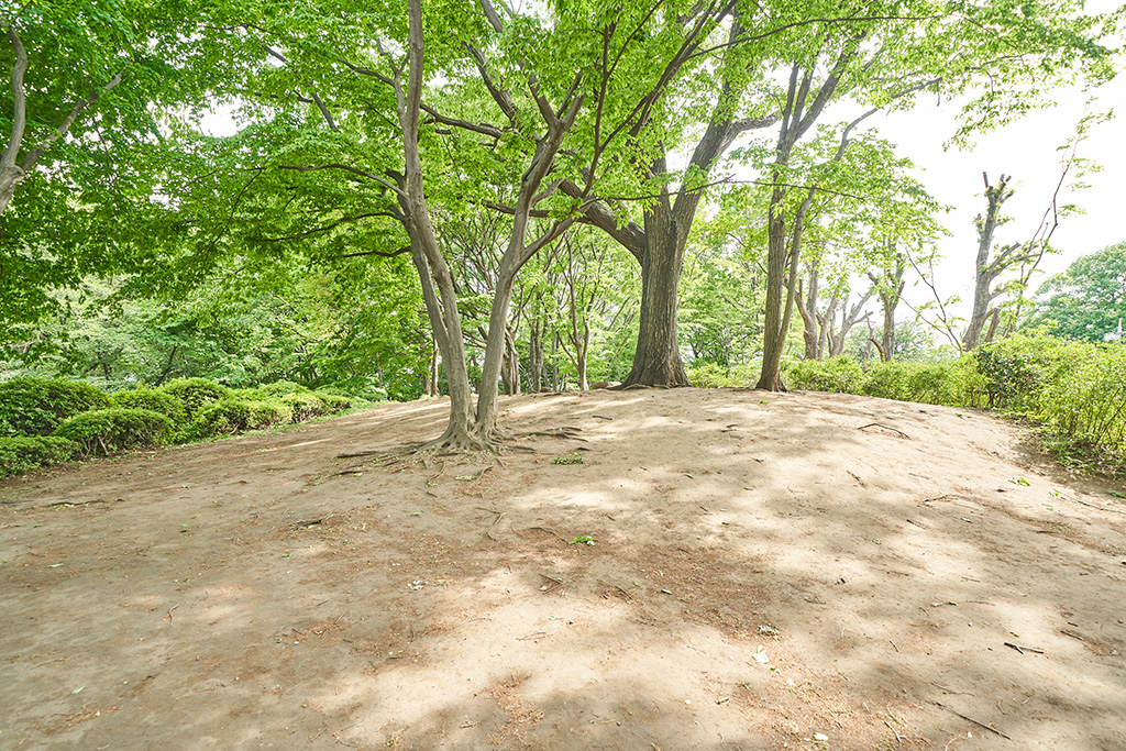 築山/小平中央公園(東京都/小平市)