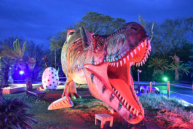 ナイトタイムの「伊豆高原グランイルミ」の様子/伊豆ぐらんぱる公園(静岡県/伊東市)