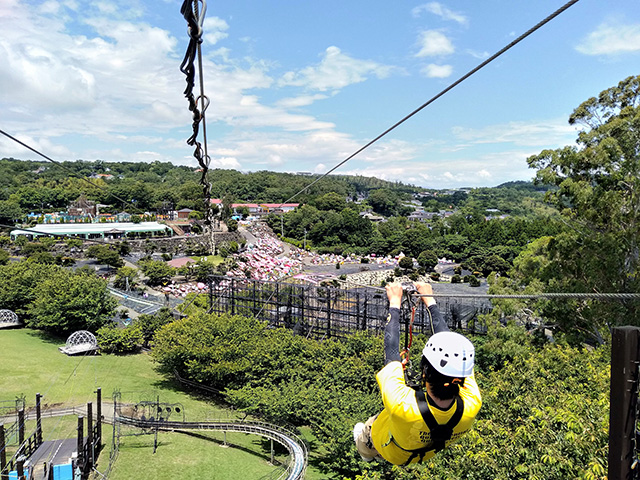 「ジップライン~風KAZE~」/伊豆ぐらんぱる公園(静岡県/伊東市)