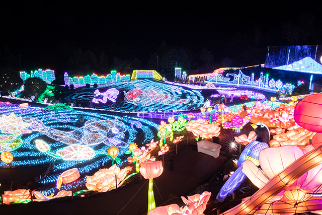 「伊豆高原グランイルミ」の様子/伊豆ぐらんぱる公園(静岡県/伊東市)