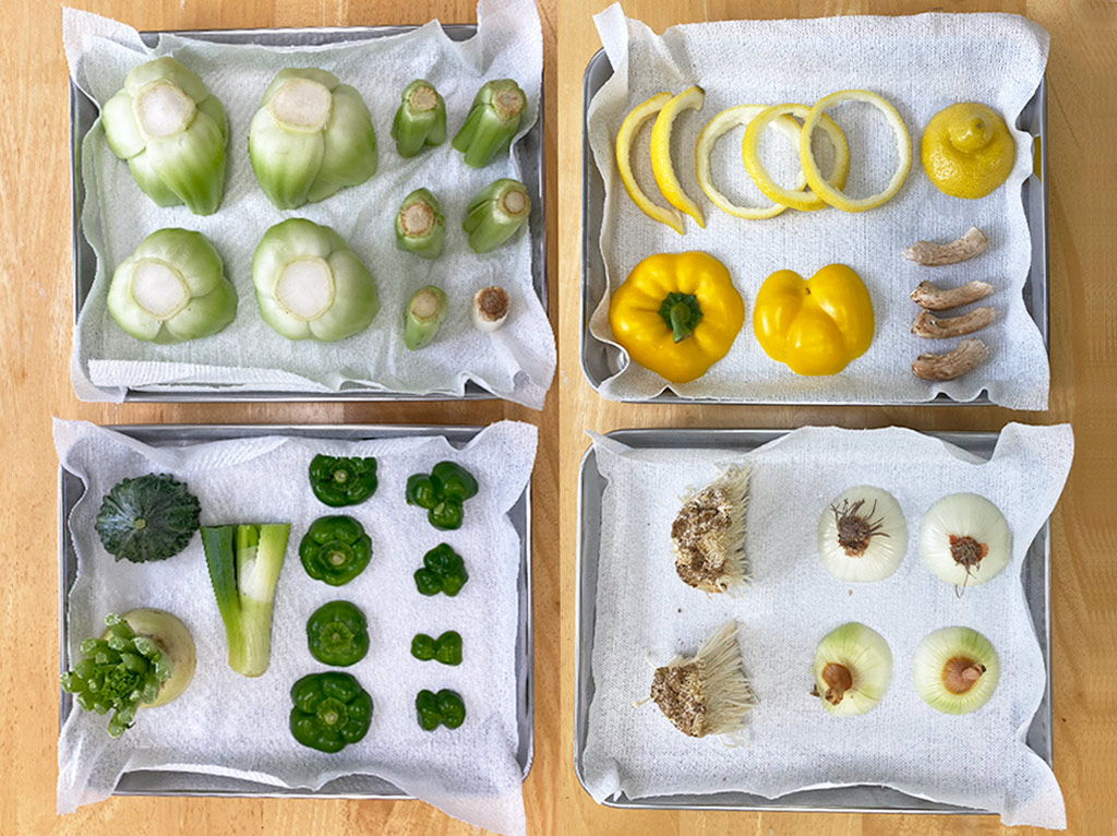 野菜スタンプを楽しむポイント:野菜は少し乾燥させる
