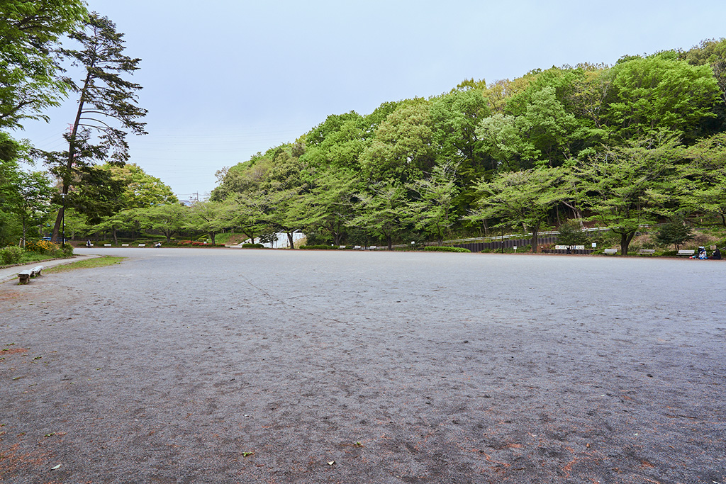 多目的広場/芹ヶ谷公園(東京都/町田市)