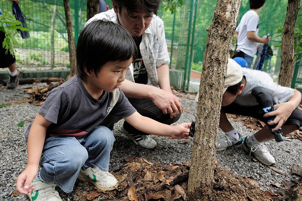 かぶとむしに触れ合う様子/直川憩の森公園キャンプ場(大分県/佐伯市)