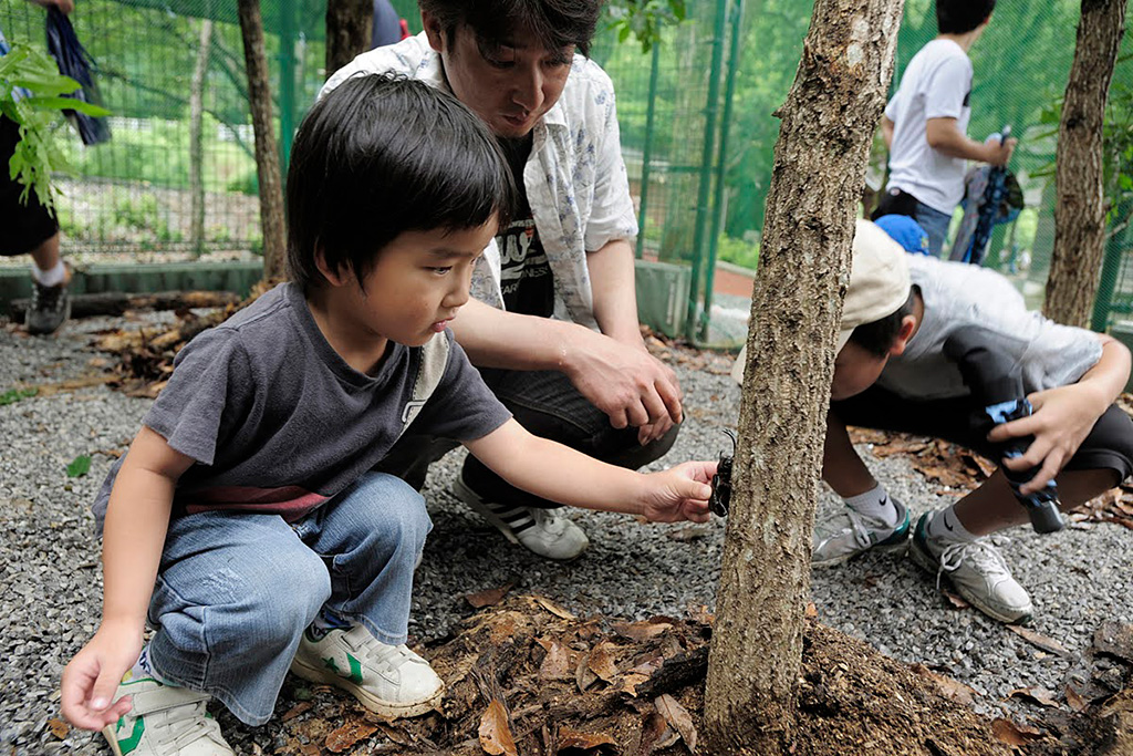 かぶとむしに触れ合う様子/直川憩の森公園キャンプ場(大分県/佐伯市)