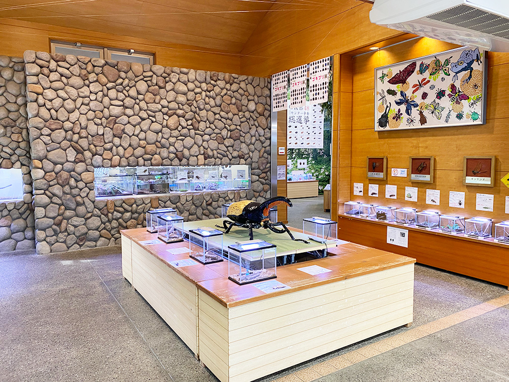 磐田市竜洋昆虫自然観察公園(静岡県)