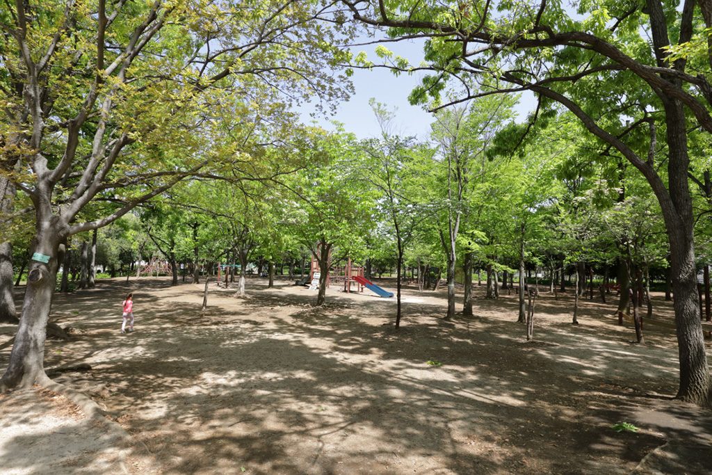 南の冒険広場/木場公園(東京都/江東区)