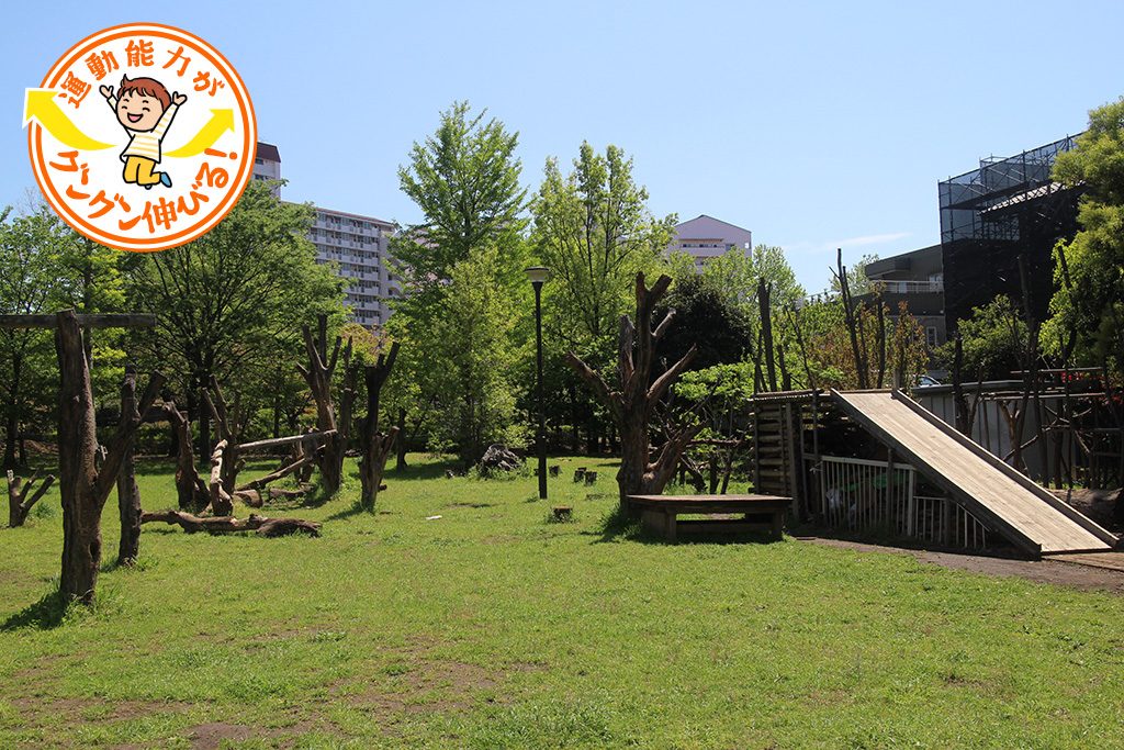 小松川ゆきやなぎ公園(東京都/江戸川区)