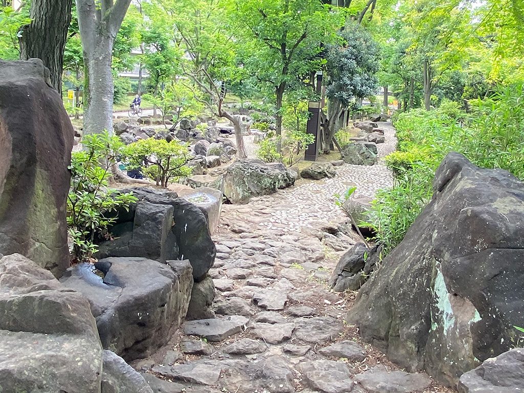 紅葉渓谷/大横川親水公園(東京都/墨田区)