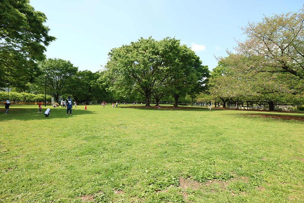 B地区芝生エリア/亀戸中央公園(東京都/江東区)