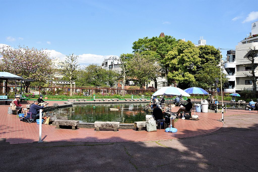 釣り堀/隅田公園(東京都/墨田区、台東区)