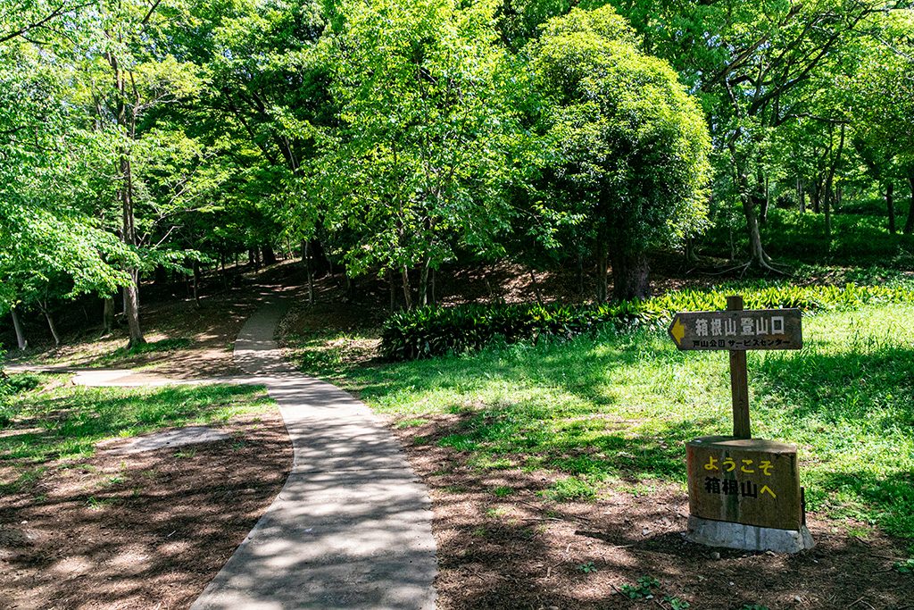 箱根山地区/戸山公園(東京都/新宿区)