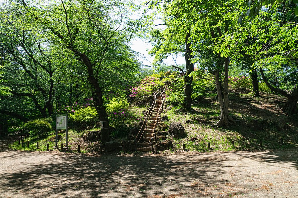 箱根山へ登る階段/戸山公園(東京都/新宿区)