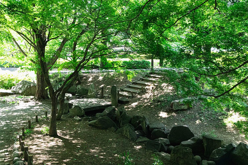 「ひなたぼっこ広場」/戸山公園(東京都/新宿区)