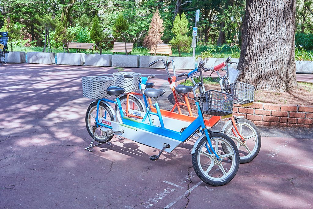 二人乗り自転車/代々木公園(東京都/渋谷区)
