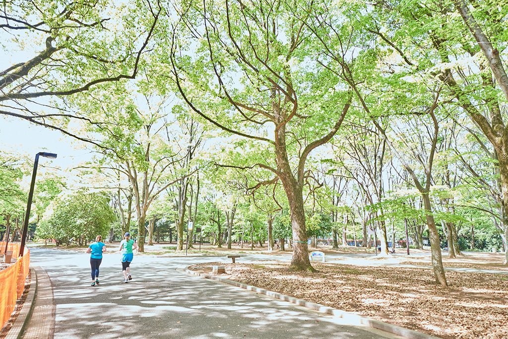 ランニングコース/代々木公園(東京都/渋谷区)