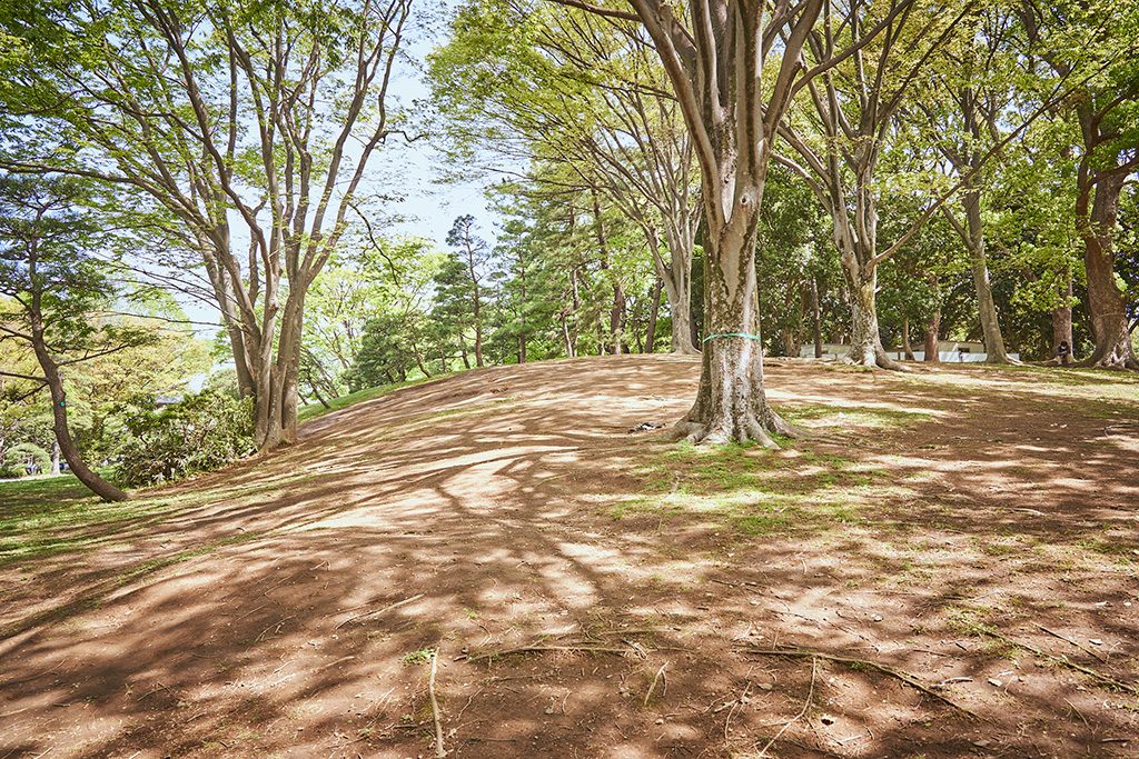 小山/代々木公園(東京都/渋谷区)