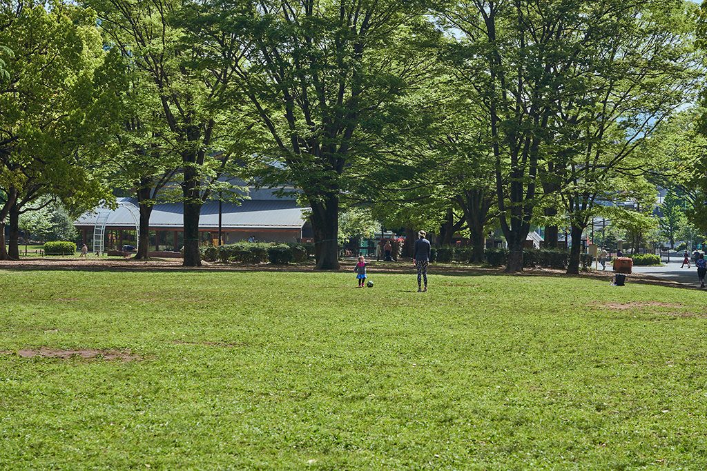 芝生広場/代々木公園(東京都/渋谷区)