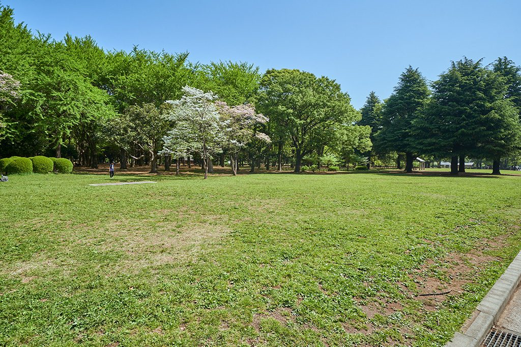 芝生広場/代々木公園(東京都/渋谷区)