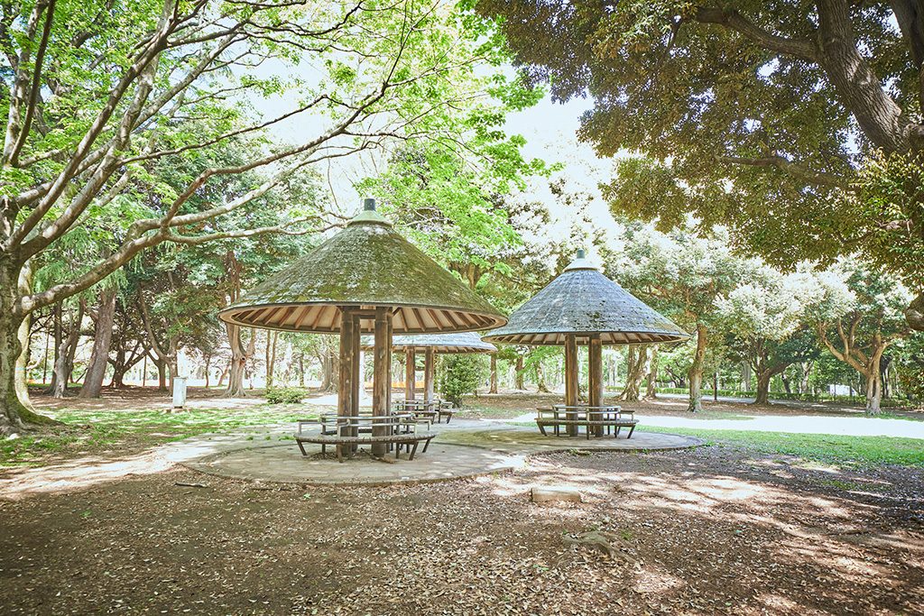 雑木林/代々木公園(東京都/渋谷区)