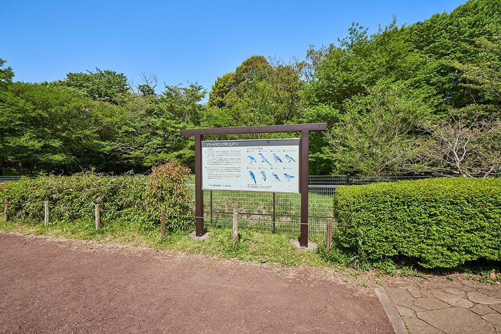 バードサンクチュアリ/代々木公園(東京都/渋谷区)