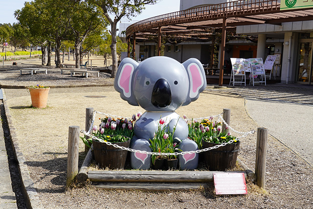 コアラ館のあるグリーンヒルエリア/淡路ファームパーク イングランドの丘(兵庫県/南あわじ市)