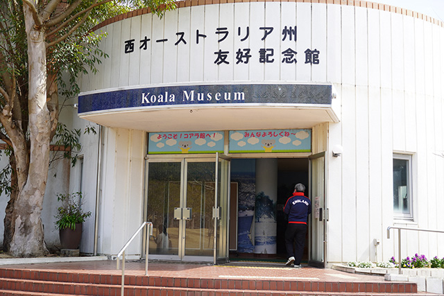 コアラ館/淡路ファームパーク イングランドの丘(兵庫県/南あわじ市)