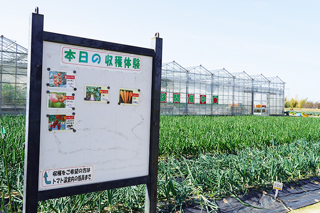 やさい畑と温室/淡路ファームパーク イングランドの丘(兵庫県/南あわじ市)