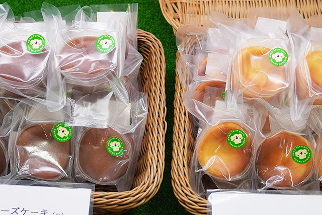 コアラと島チーズケーキ/淡路ファームパーク イングランドの丘(兵庫県/南あわじ市)