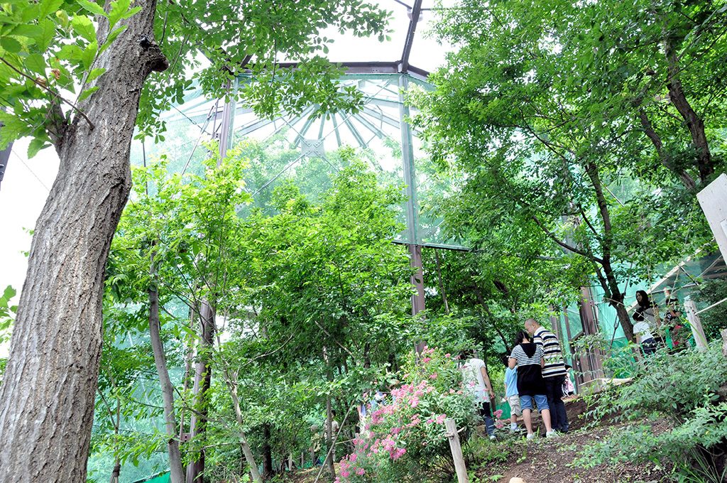 昆虫体験学習館(長野県/佐久市)