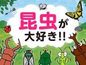 カブトムシ幼虫の育て方ガイド 水や温度 オスメス見分け方 マット交換の時期など るるぶkids