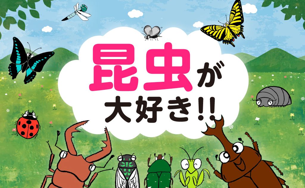 昆虫が大好き 採集 飼育 生態解説から全国の昆虫館 体験スポットまで るるぶkids