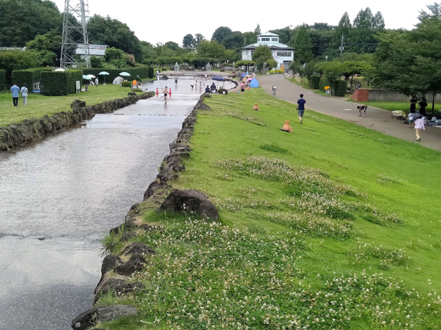 大宮花の丘農林公苑