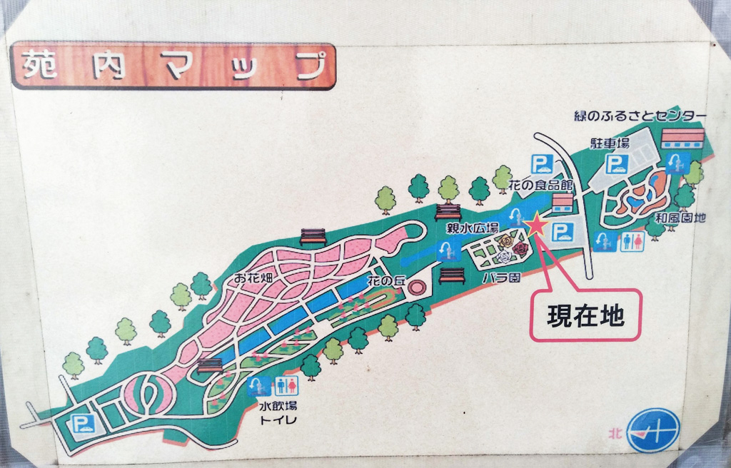大宮花の丘農林公苑の苑内マップ(埼玉県/さいたま市)