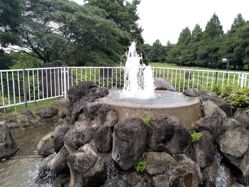 水の流れの出発点/大宮花の丘農林公苑(埼玉県/さいたま市)