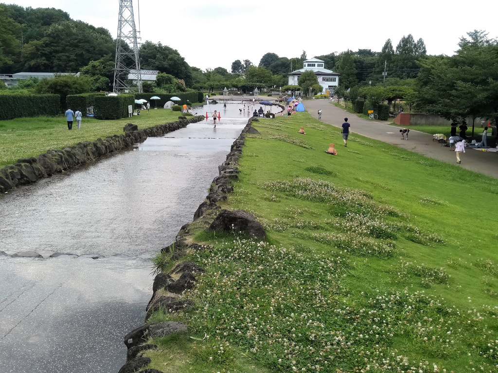 水辺に緑の芝が広がる幅広水路/大宮花の丘農林公苑(埼玉県/さいたま市)