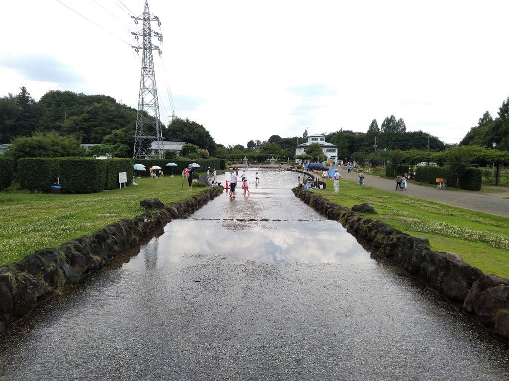 水辺に緑の芝が広がる幅広水路/大宮花の丘農林公苑(埼玉県/さいたま市)