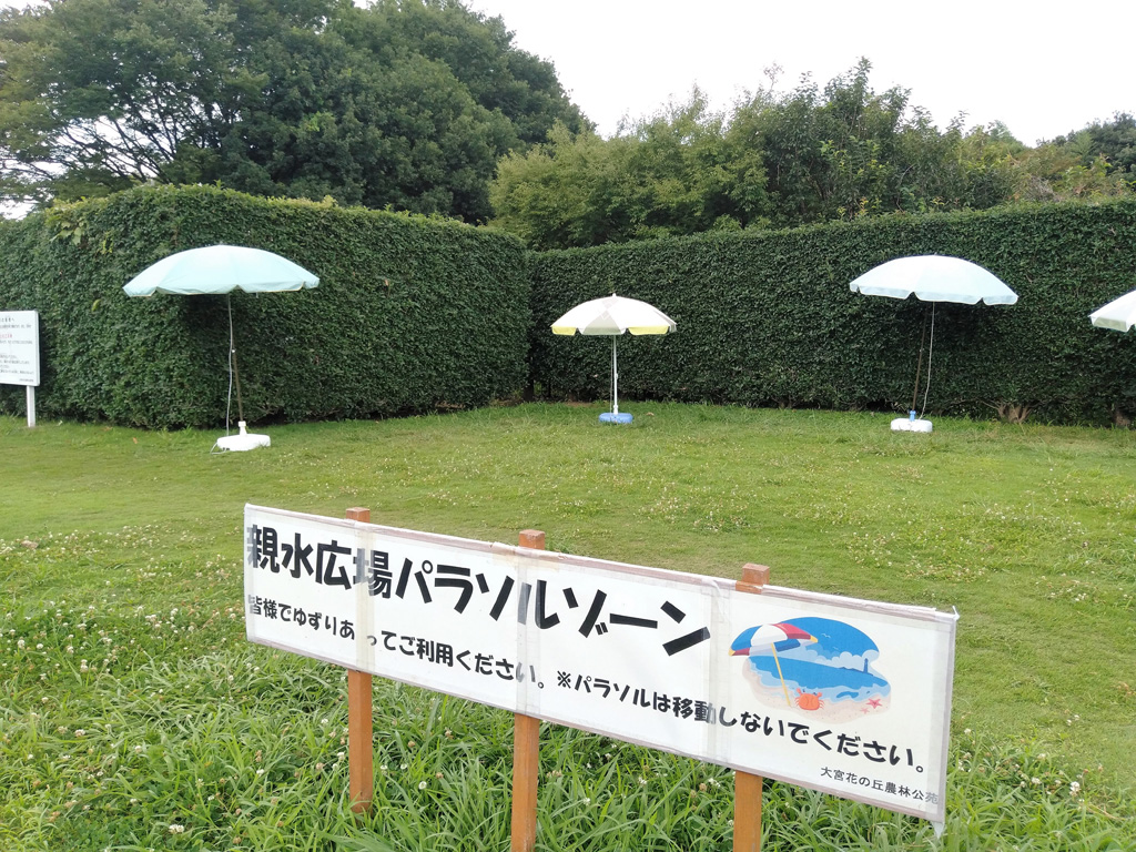 親水広場のパラソルゾーン/大宮花の丘農林公苑(埼玉県/さいたま市)