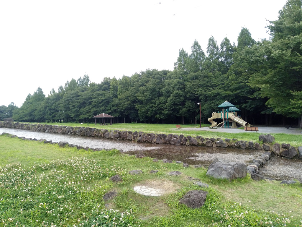 苑内唯一ともいえる遊具/大宮花の丘農林公苑(埼玉県/さいたま市)