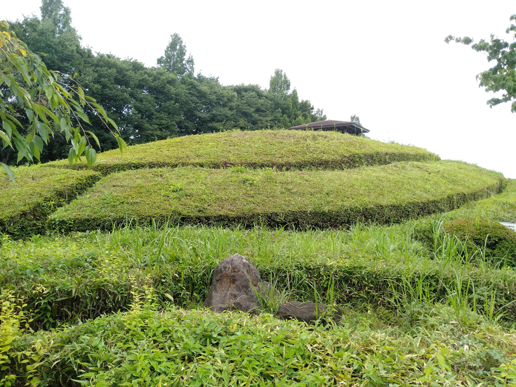 迷路のように植栽された丘/大宮花の丘農林公苑(埼玉県/さいたま市)