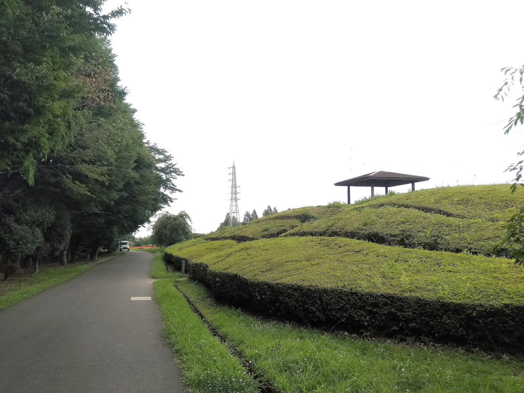 迷路のように植栽された丘/大宮花の丘農林公苑(埼玉県/さいたま市)