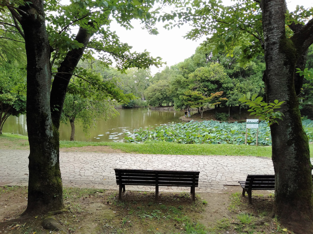 大きな池の前のベンチ/松代公園(茨城県/つくば市)
