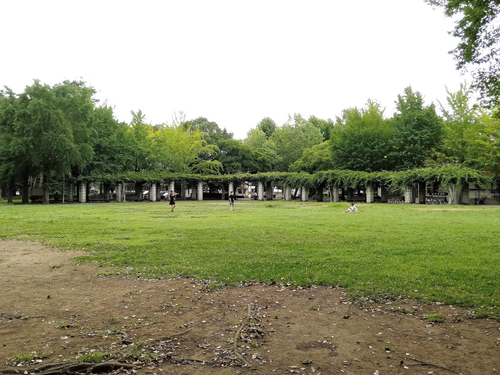 芝生広場/松代公園(茨城県/つくば市)