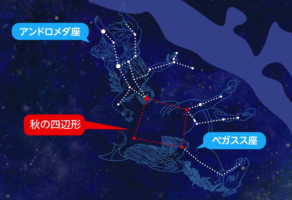 秋の四辺形
