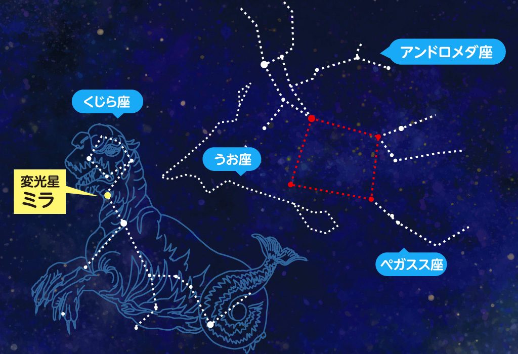 秋の星座
