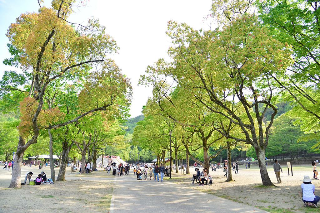 入園無料 宝が池公園 子どもの楽園 京都 の水遊び場やアスレチック遊具で遊ぼう るるぶkids 入園無料 宝が池公園 子どもの楽園 京都 の水遊び場やアスレチック遊具で遊ぼう るるぶkids