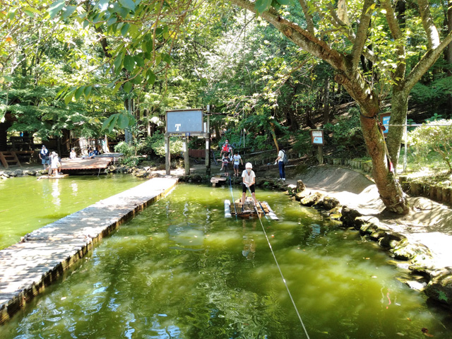 連なる浮島を渡る「関所くぐり」/ありのみコース(千葉県/市川市)